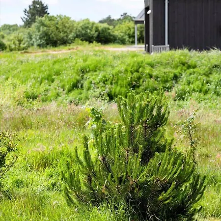 0022-romo-ringvejen-135 Bolilmark