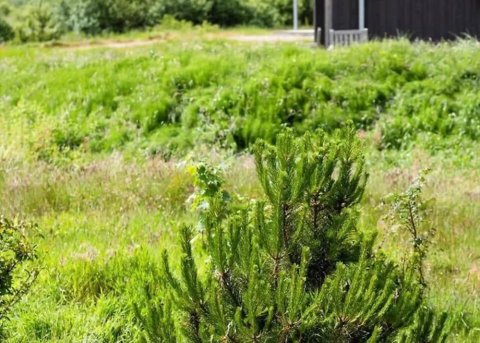 0022-romo-ringvejen-135 Bolilmark